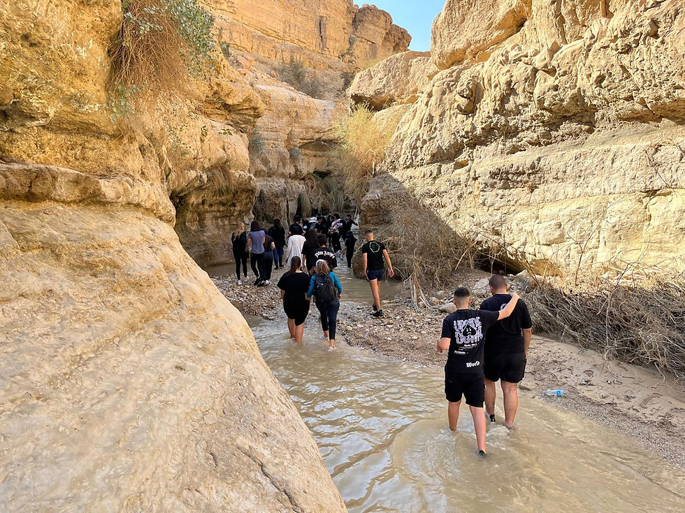 תכנית 'דרך ארץ'